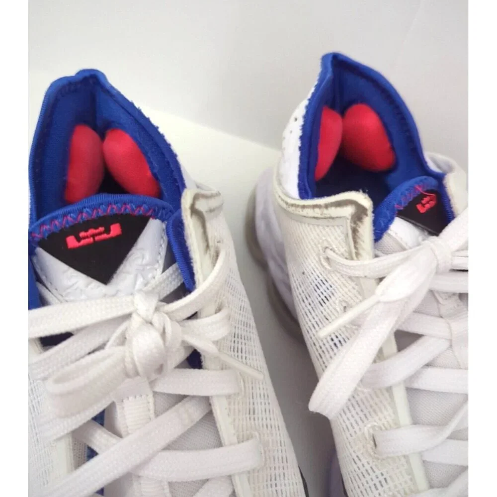Nike LeBron 19 Low Concord Black Toe Mens Size‎ 7 DH1270-100